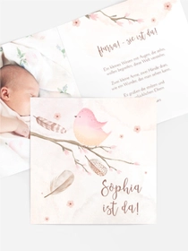 Babykarten Küken
