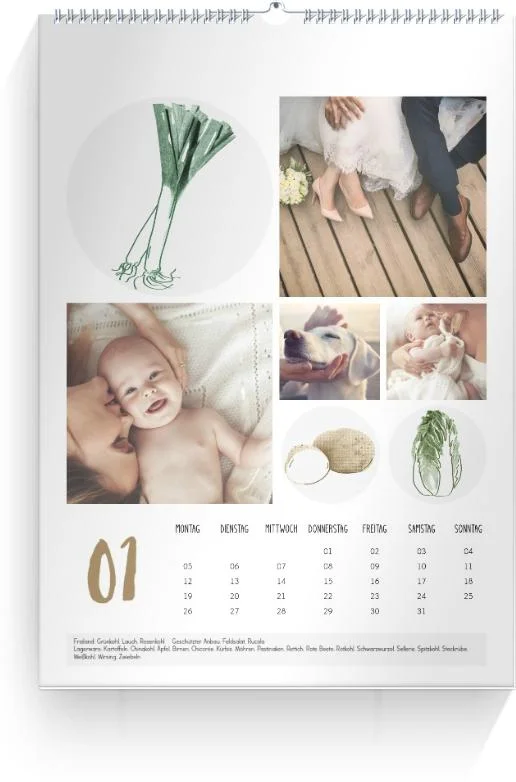 Product preview