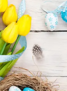 Gelbe Tulpen liegen neben blau bemalten Ostereiern