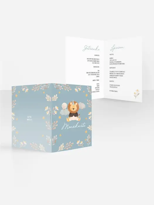 Product preview