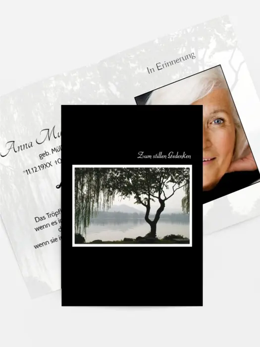 Sterbebildkarte Baum am See