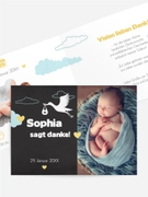 Product preview
