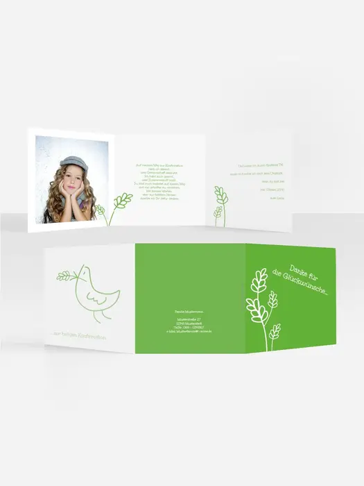 Product preview