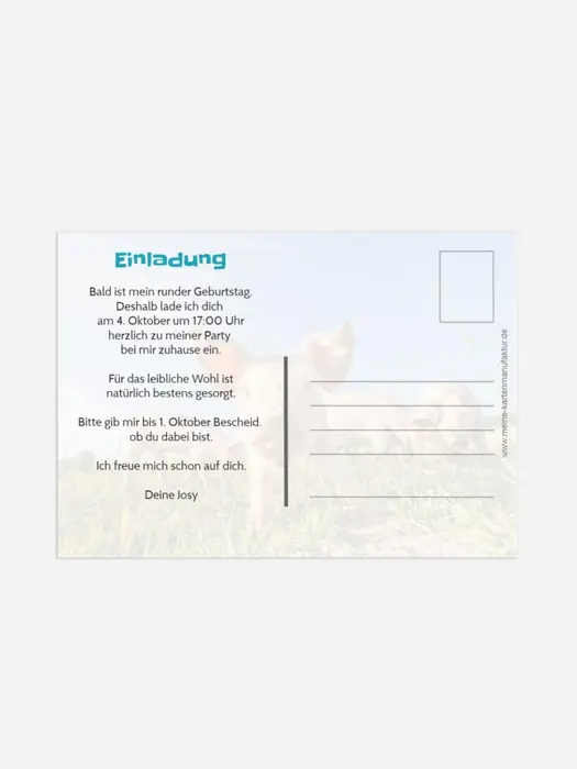Product preview