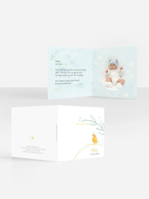 Product preview
