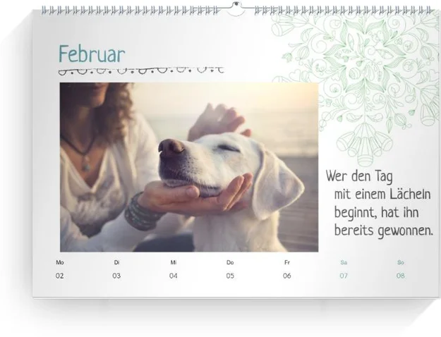 Product preview