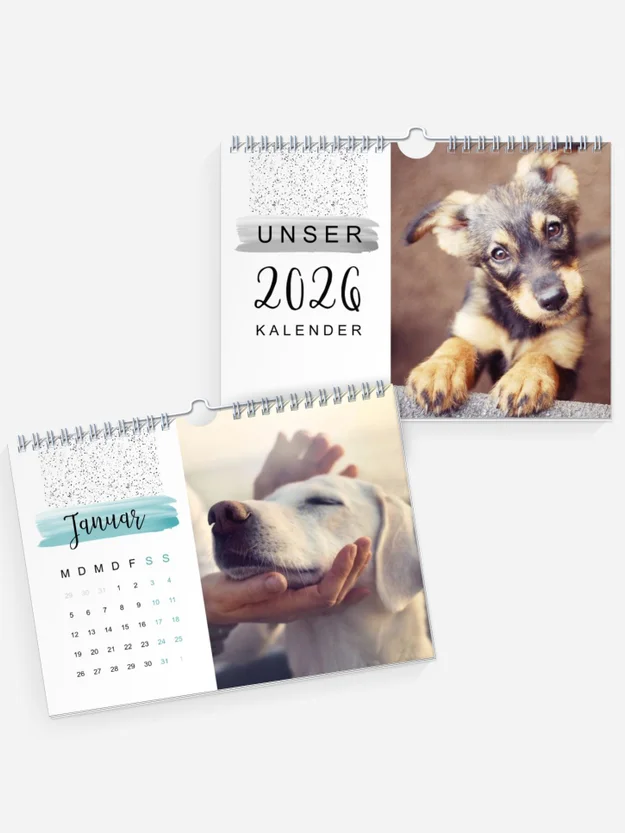 Tagträumer Tagträumer