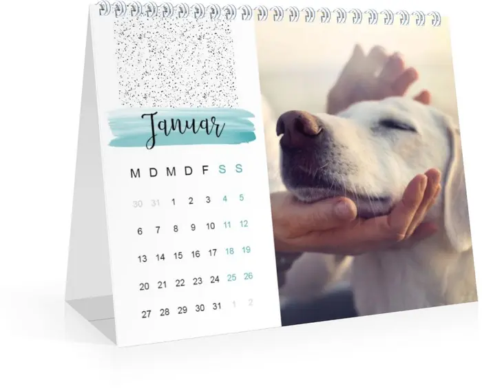 Product preview