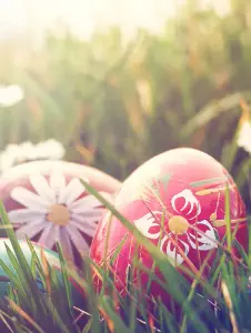 Zwei schöne, bemalte Eier zu Ostern