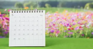 Monatskalender als Aufstellkalender, Hintergrund Blumenwiese