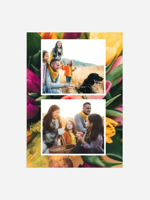 Product preview