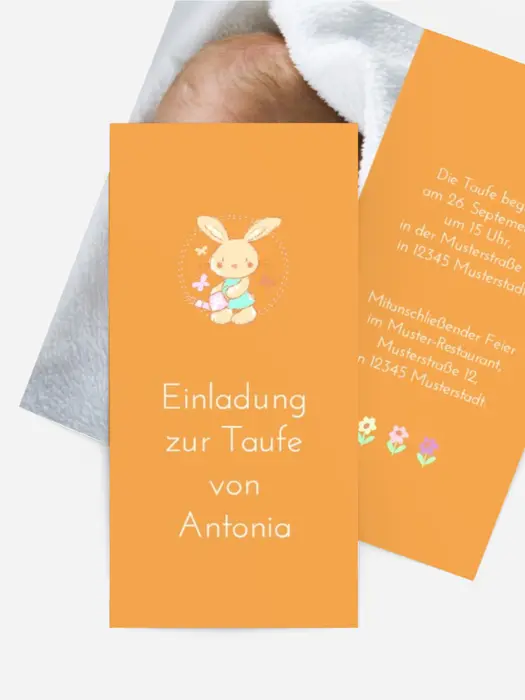 Hase