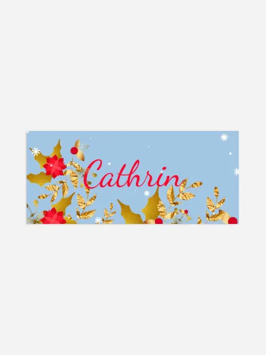 Product preview