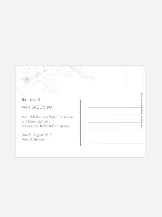Product preview