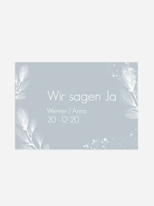 Product preview
