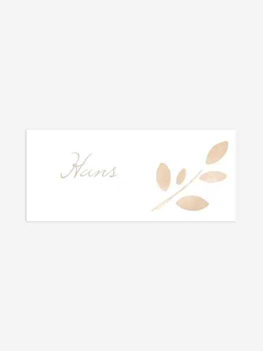Product preview