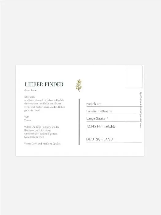 Product preview