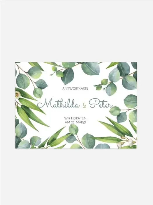Product preview