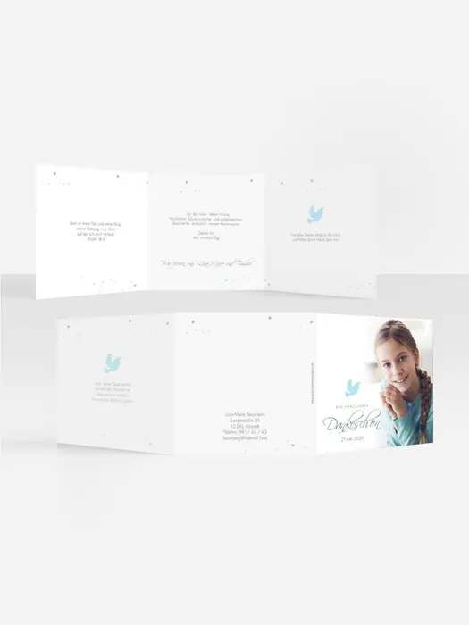Product preview