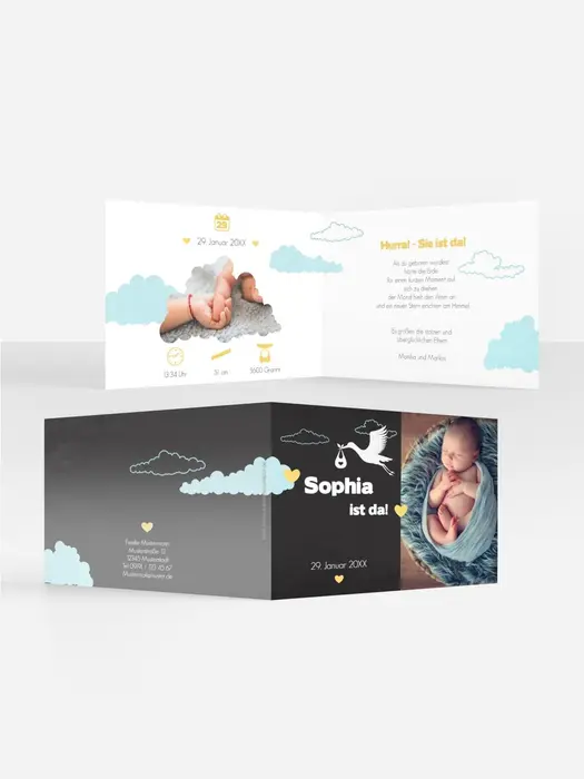 Product preview