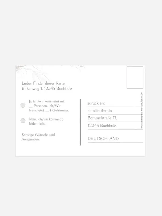 Product preview