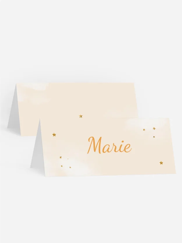 Tischkarte Geburtstag Die Prinzessin feiert!