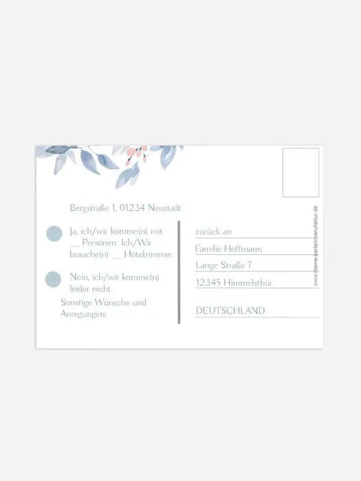 Product preview