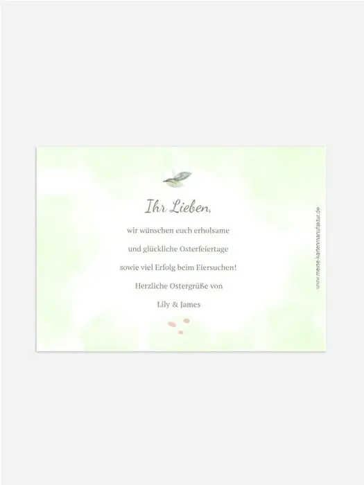 Product preview