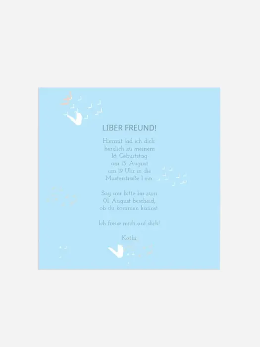 Product preview