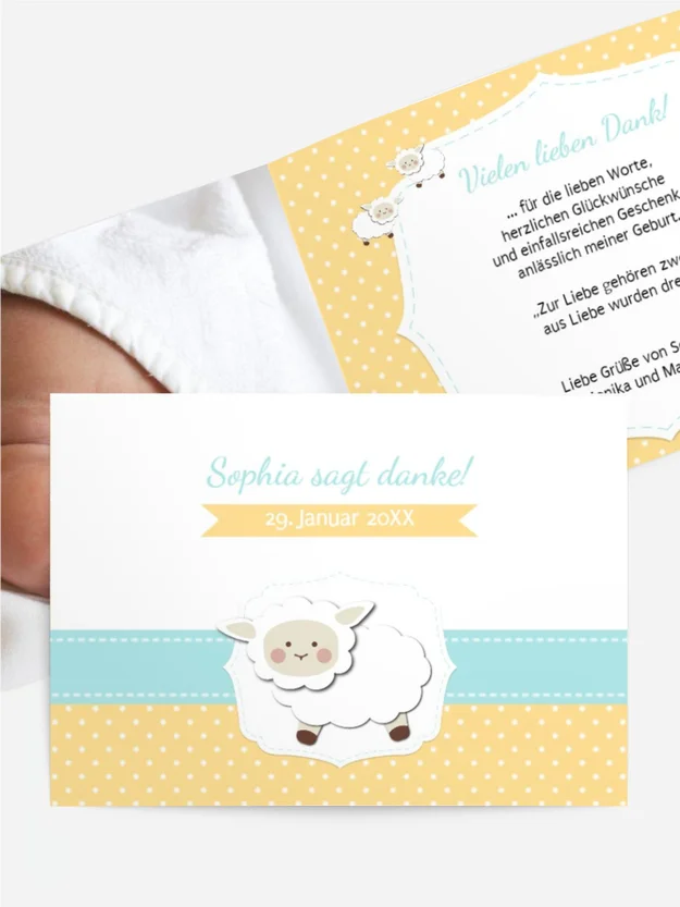 Schäfchenherde Schäfchenherde