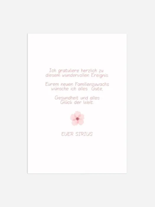 Product preview