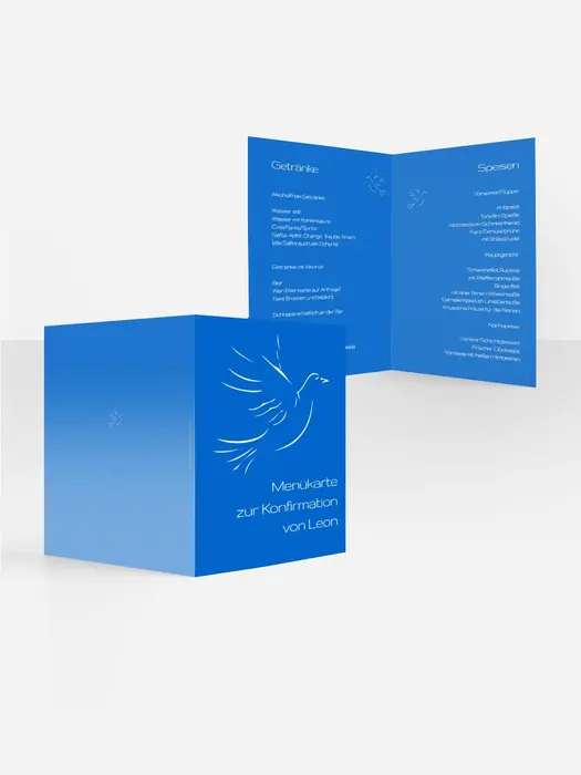 Product preview