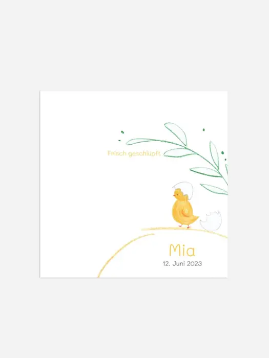 Product preview