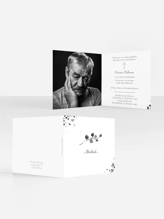 Product preview