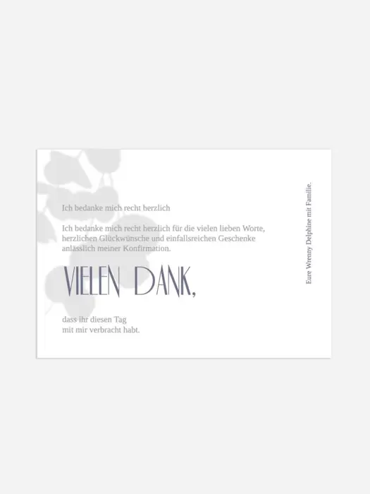 Product preview