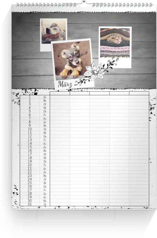 Product preview