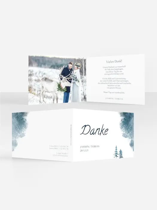 Product preview
