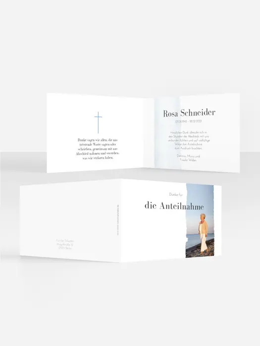 Product preview