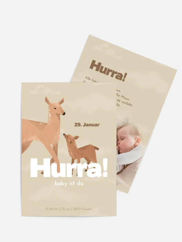 Antilopenfamilie Antilopenfamilie