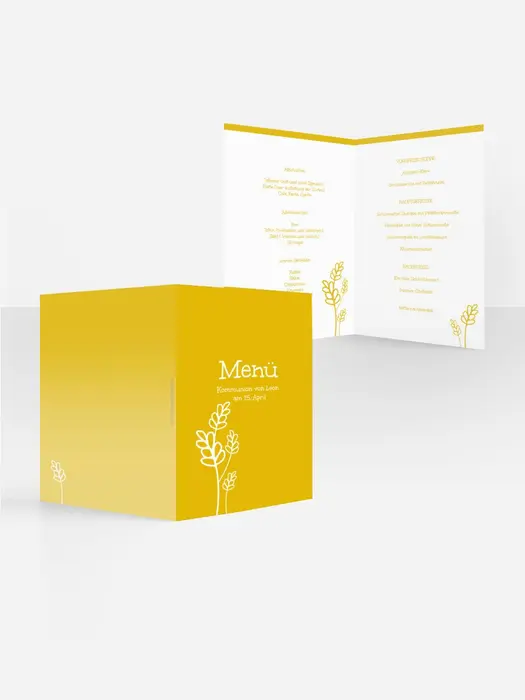 Product preview