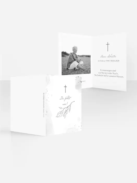 Product preview