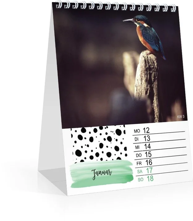 Product preview