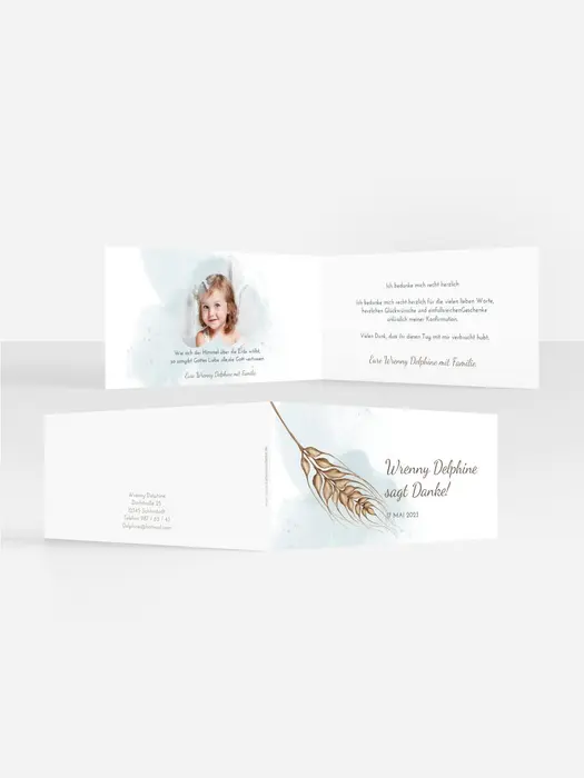 Product preview