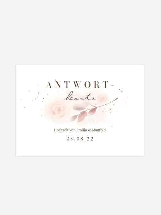 Product preview