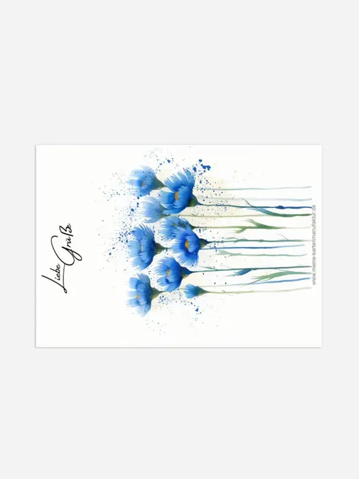 Product preview