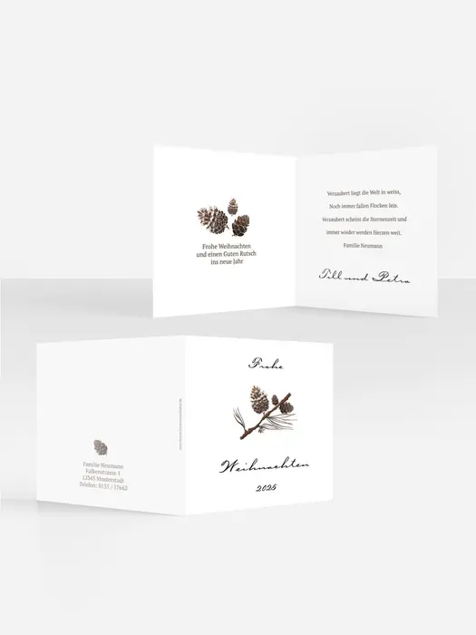 Product preview