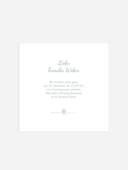 Product preview
