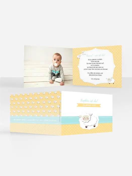 Product preview