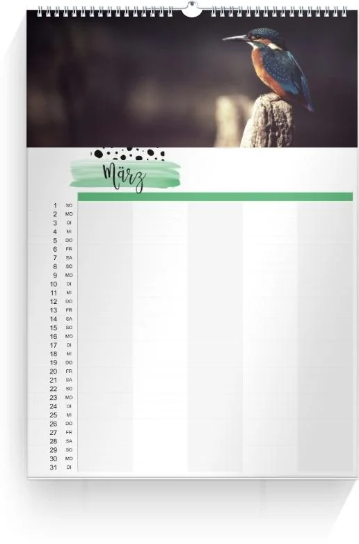 Product preview