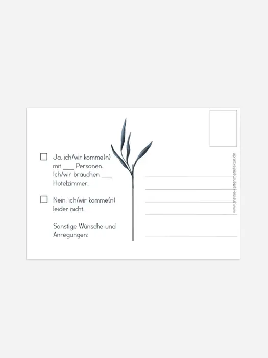 Product preview